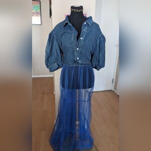 Denim Top with Sheer Blue Skirt